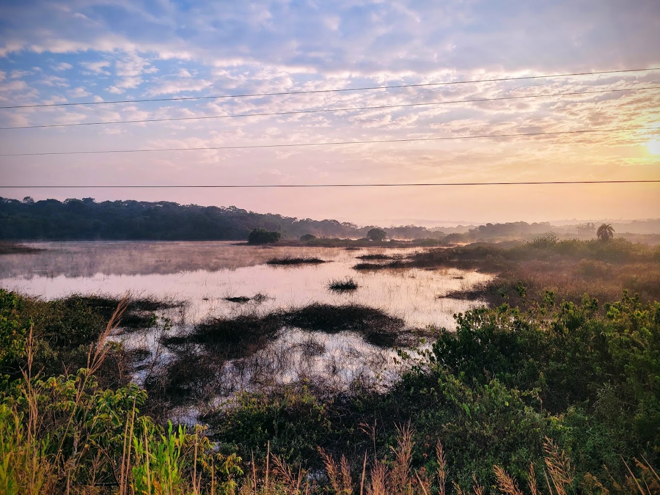 Ruvubu National Park