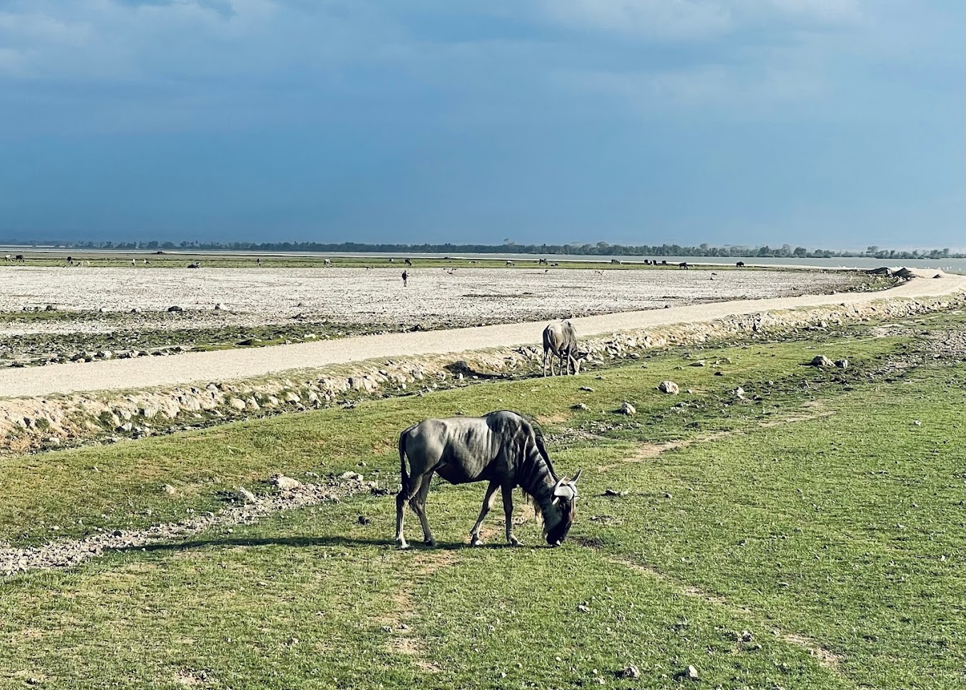 Amboseli National Park