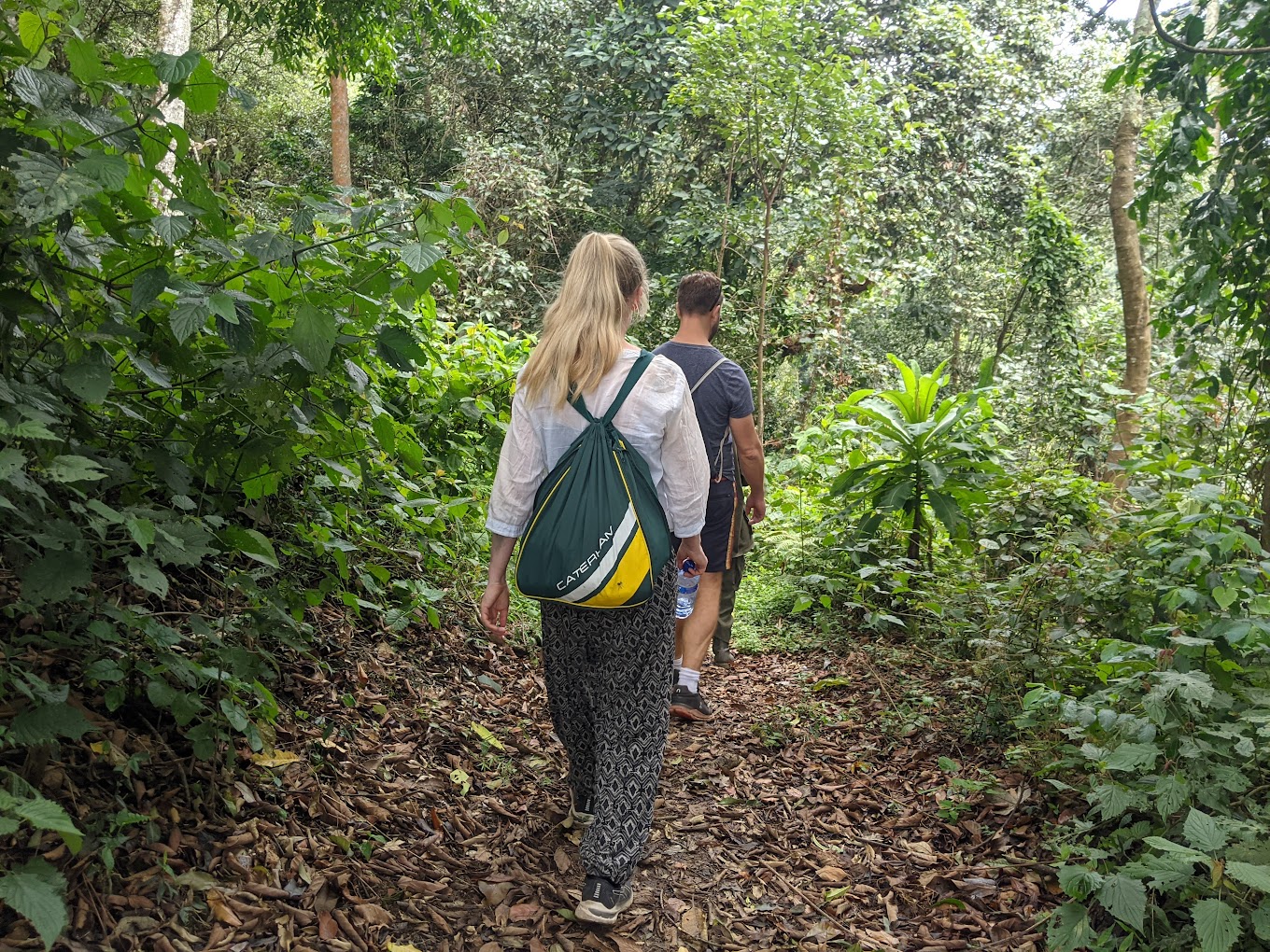 Kibira National Park