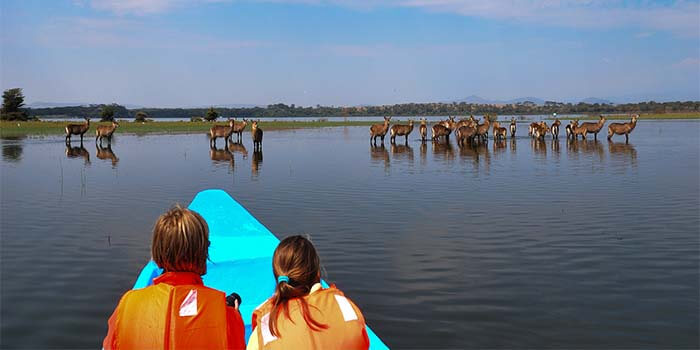 Lake Naivasha
